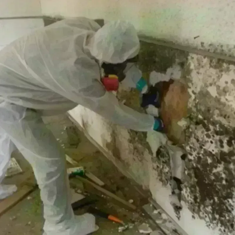 Mold Remediation and Removal in Montara, CA